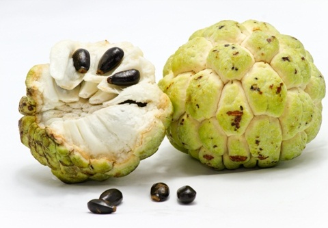 ayurvediske lægemidler til vægtforøgelse