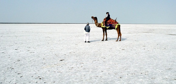 fehér homokos strand gujarat