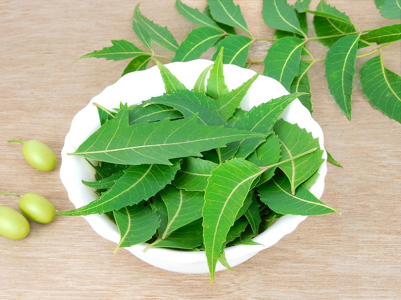 Neem And Cinnamon Face Pack