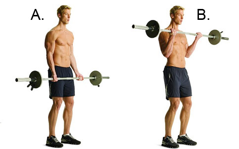 Barbell Curl