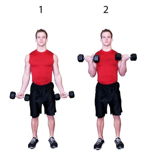 Dumbbell Biceps Curl