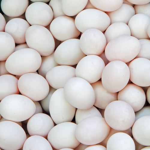 Æg- Protein til hår