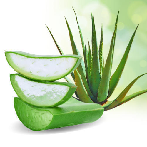 Aloe Vera urtemedicin mod acne