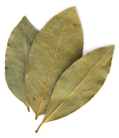 Bay Leaf til behandling af acne