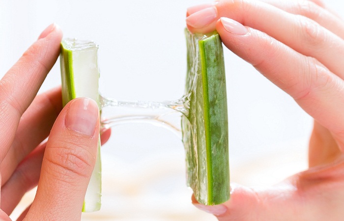 Az Aloe Vera természetes gyógymódjai a korpásodás ellen