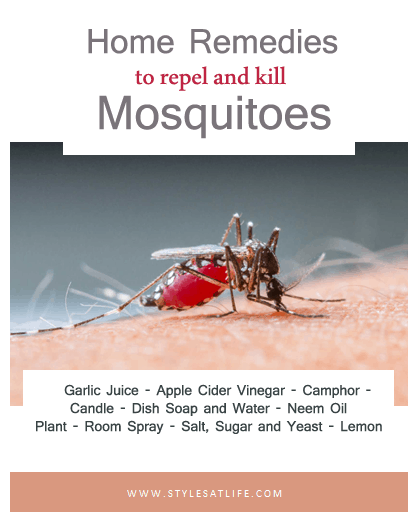 Otthoni gyógymódok A szúnyogok távol tartására