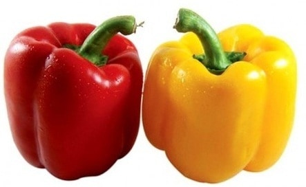 Rød og gul paprika