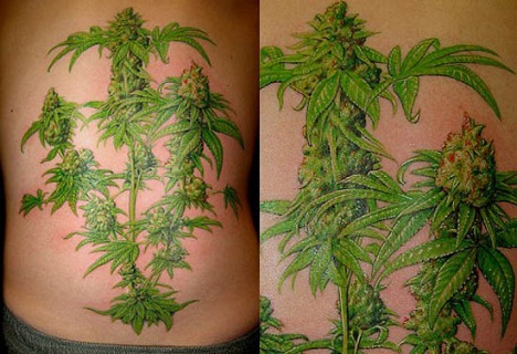 Weed Tattoo Designs On Full Back