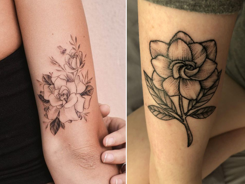 Gardenia blomster tatoveringer