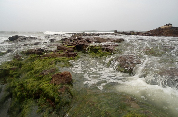 Bheemli Beach Andhra Pradesh