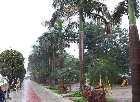 Millennium Park kolkata híres park