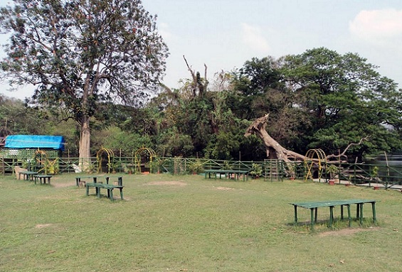 Botanical Gardens legjobb parkok Kolkata