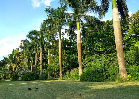 Mohor Kunja kolkata híres park