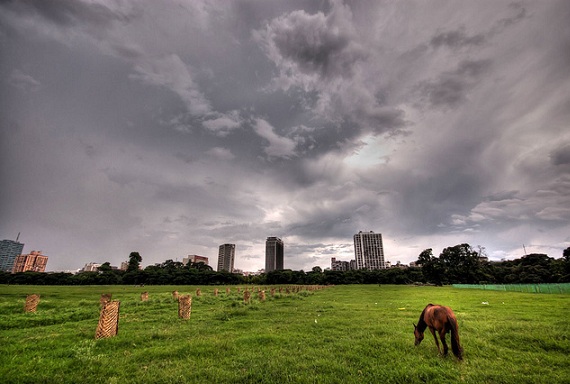 Maidan parkok Kolkata