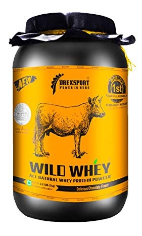 DREXSPORT- Wild Whey Protein Pulver
