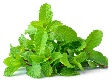 Mint og Tulsi ansigtsmaske