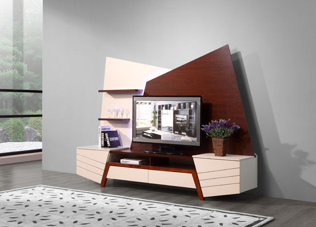 Tv Stand Design i salen