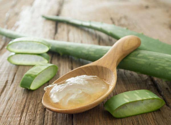 aloe vera fehér hajra