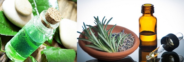 Tea Tree eller lavendelolie