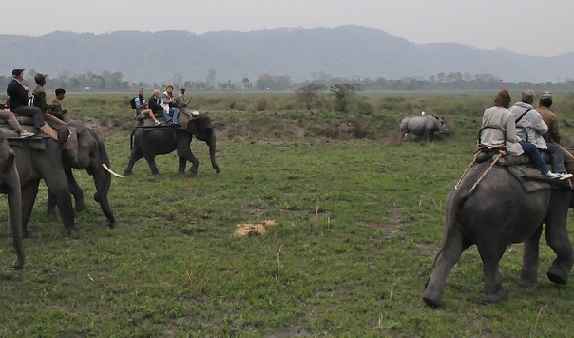 parker-i-assam-kaziranga-nationalpark