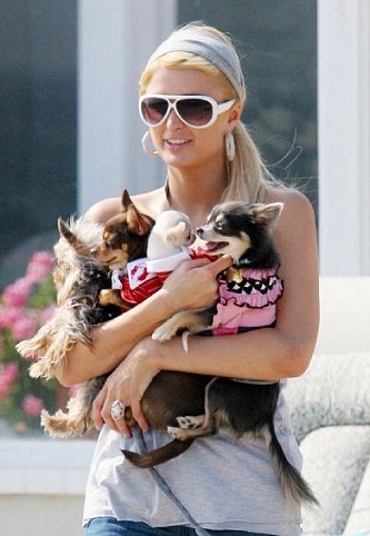 Paris Hilton uden makeup 7