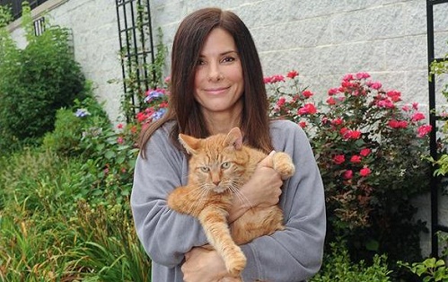 Sandra Bullock uden makeup