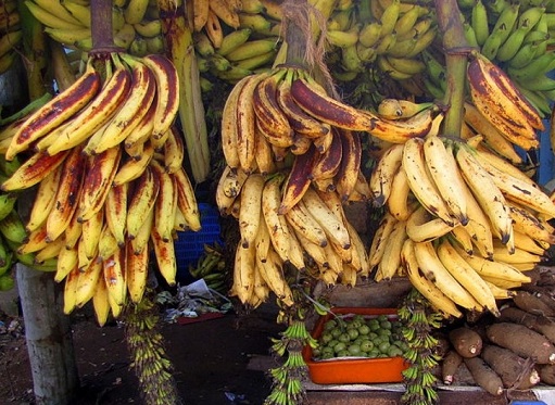 forskellige slags bananer
