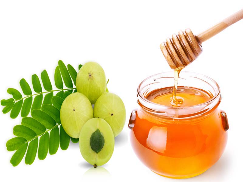 Az Amla és a méz egészségügyi előnyei