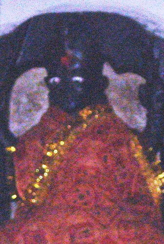 Lalita Gauri templom