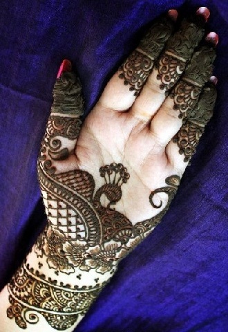 Pálma páva arab Mehendi Design