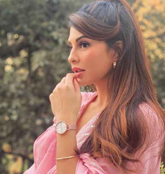 Jacqueline Fernandez Half Hair Up Hestehale