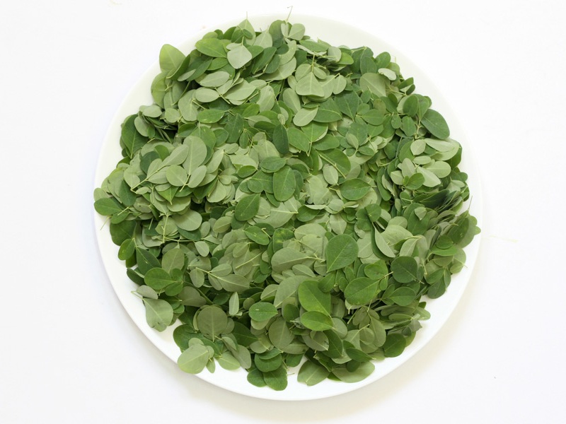 A Moringa előnyei a bőr, a haj és a bőr számára Egészség