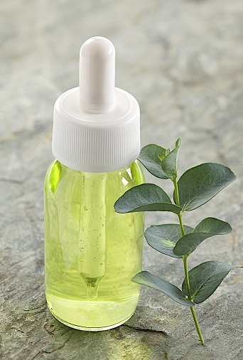 Eucalyptusolie