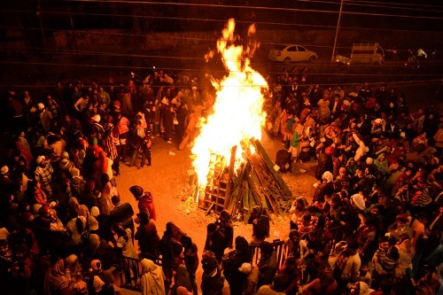 maghi -festival i punjab