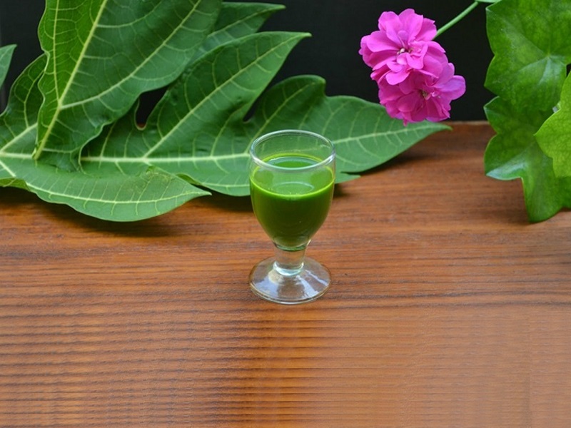 Fordele ved Papaya Leaf Juice - Vores Top 12 -liste