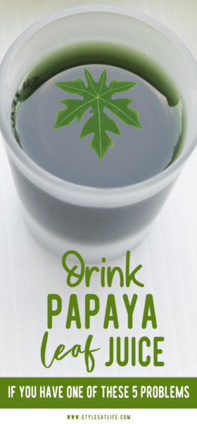 12 Videnskabeligt dokumenterede fordele ved Papaya Leaf Juice + Ernæringsfakta