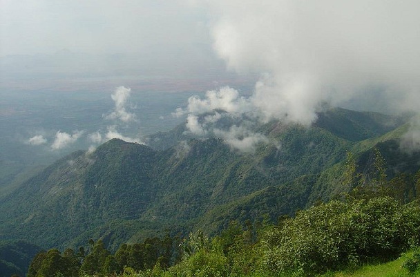 Green Valley View