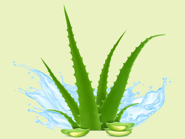 aloe vera creme