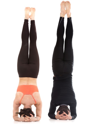 Yoga Asanas til hårfald - Sirsasana