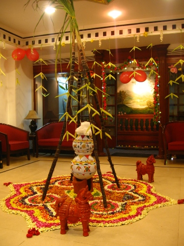 pongal fesztivál Tamil Naduban