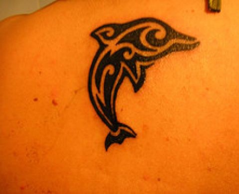 DolphinTribal Tattoo for unge piger