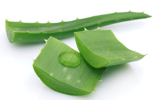 Aloe Vera til udtynding af hår