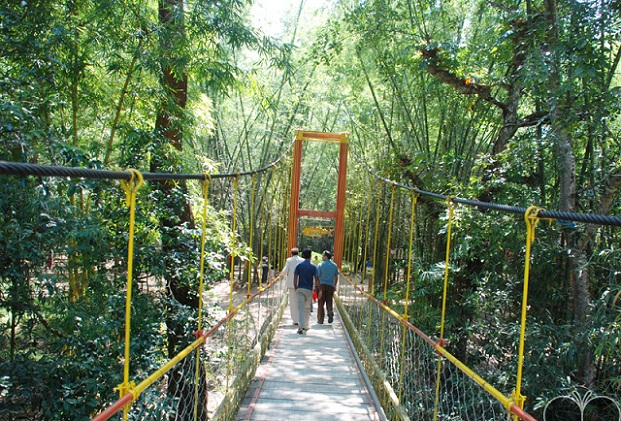 cauvery-nisargadhama_coorg-turist-steder