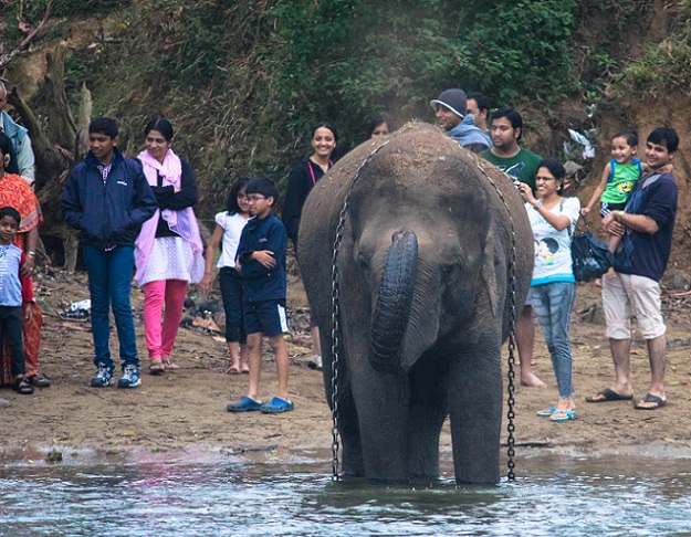 dubare-reserve-skov-og-reserve-camp_coorg-turist-steder