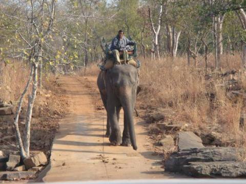 nationalparker i indien2