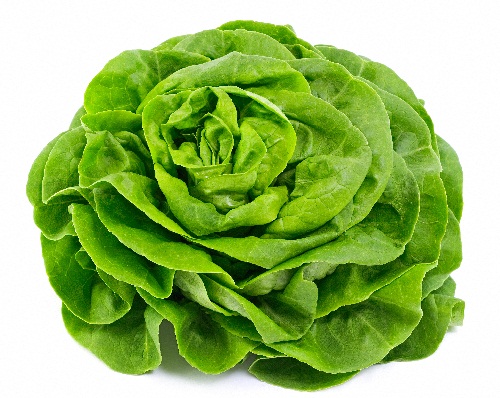 fødevarer med et højt indhold af antioxidanter - Salat