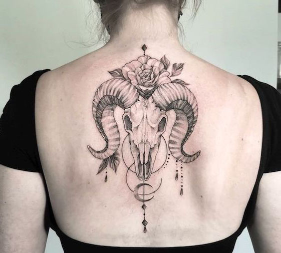 Vædderen Tattoo Designs 10