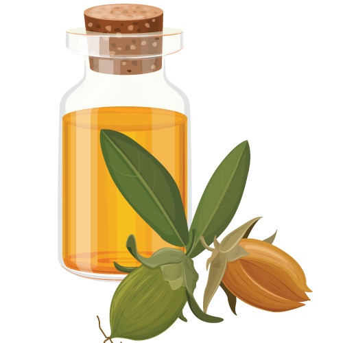 Ayurvediske olier til at forhindre hårfald - Jojobaolie