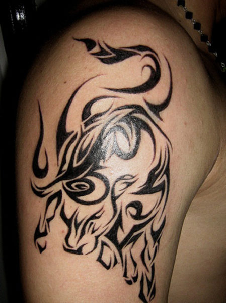 Celtic Bull tatoveringsdesign til fyre