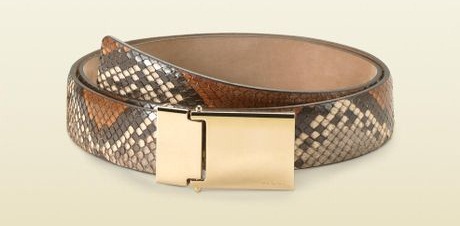 Pestbælte design fra Gucci
